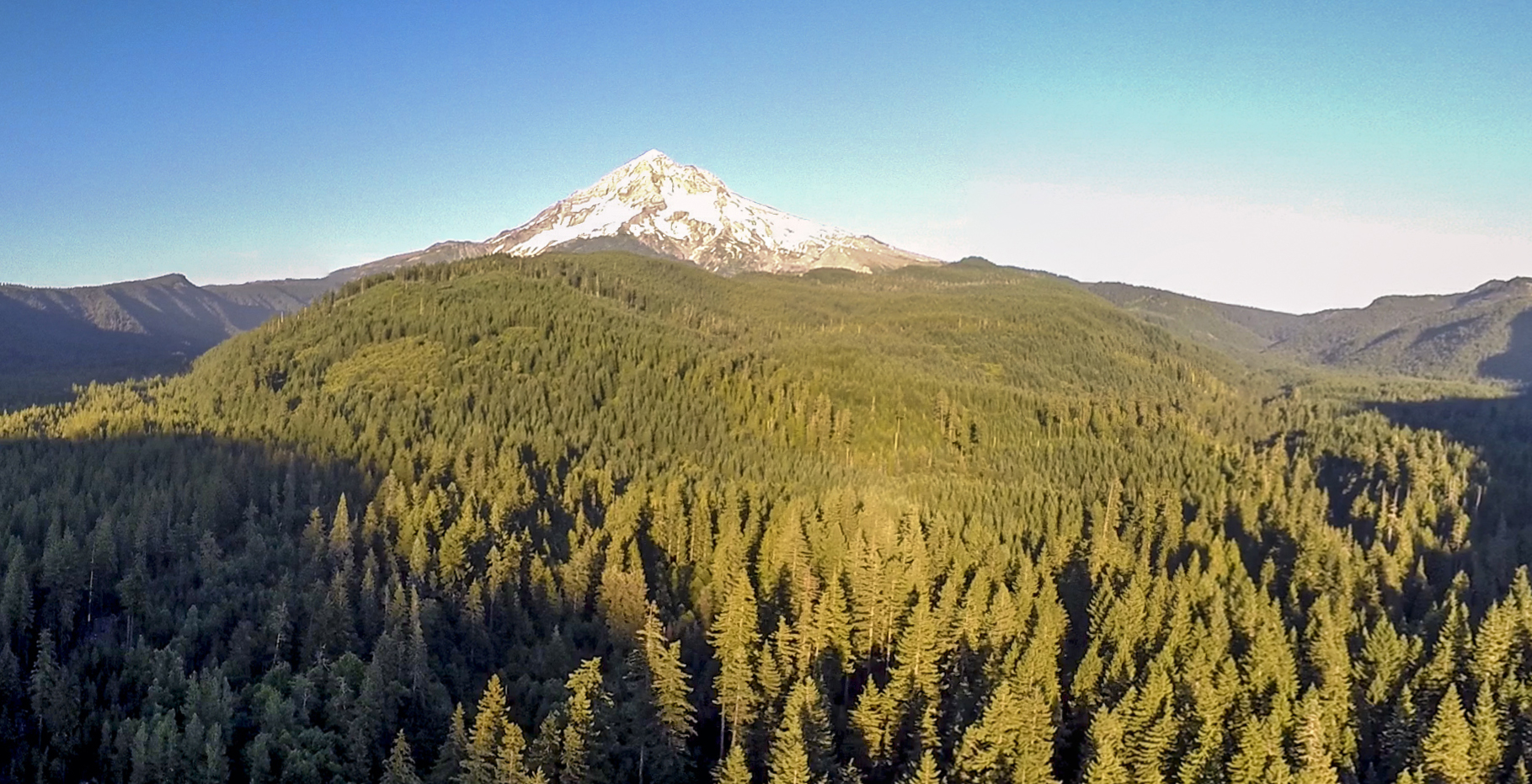 Focus on Sustainability